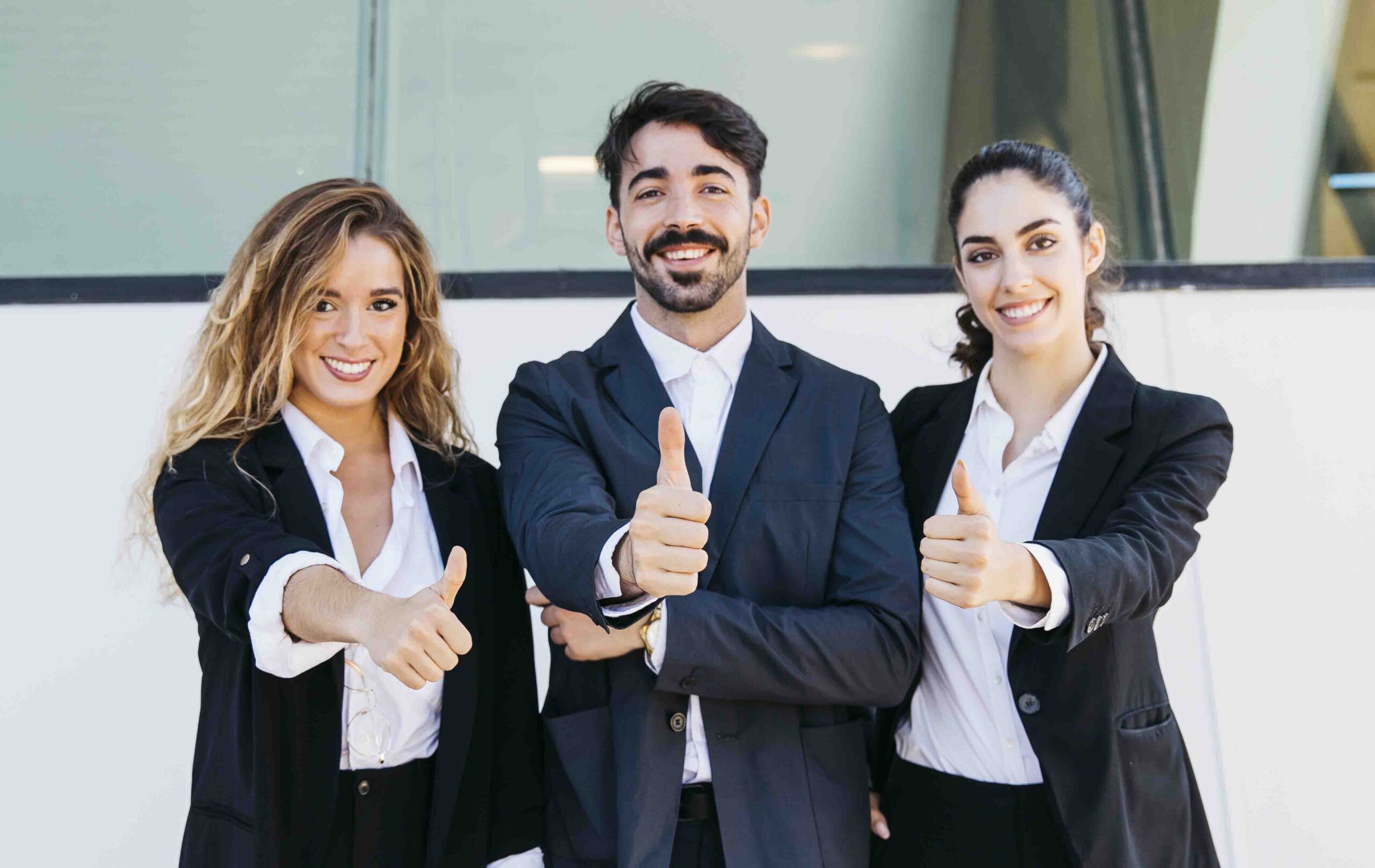 Zoho Consulting